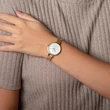 OBAKU V173LXGGMG 1