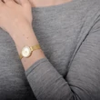 OBAKU V146LEGGMG