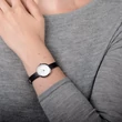 OBAKU V146LXCIRB
